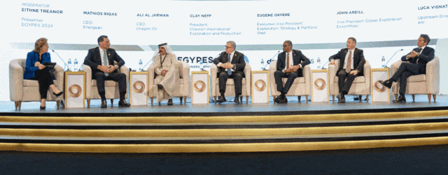 参展EGYPES 2025的公司和组织完整名单:可持续能源未来的先驱 参展EGYPES 2025的公司和组织完整名单:可持续能源未来的先驱